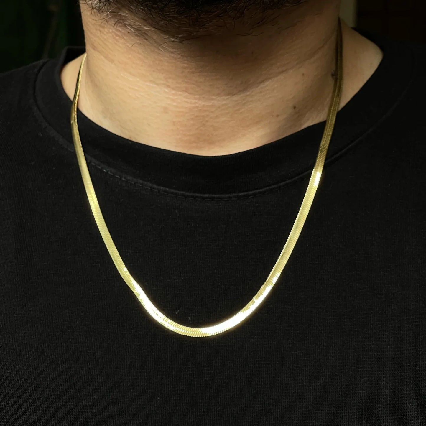 Flat Snake Neck Chain Men/Women